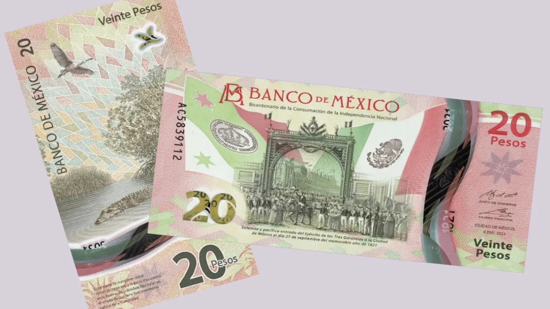 El Final de una Era: Adiós al Billete de 20 Pesos en México