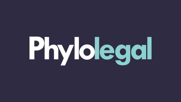 PhyloScale: La Nueva Plataforma para Startups Latinoamericanas en Busca de Fondos en Estados Unidos